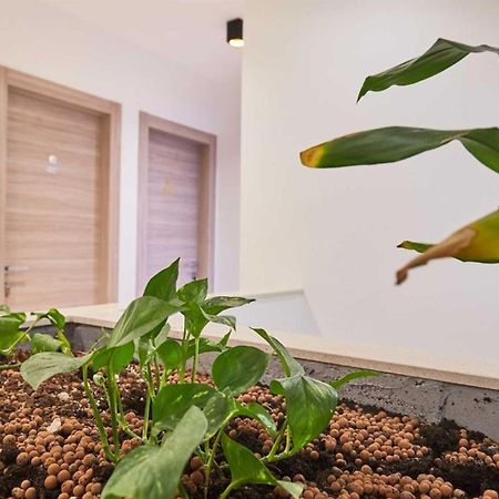 Boutique Garden Rooms Dubrovnik Exterior photo