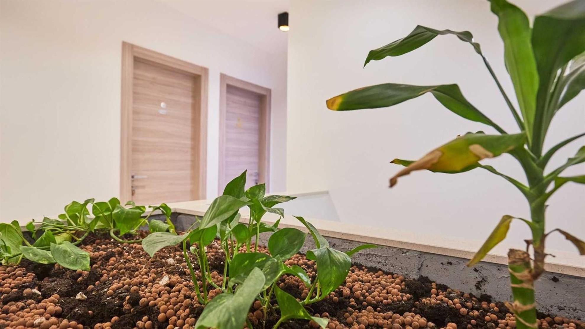 Boutique Garden Rooms Dubrovnik Exterior photo